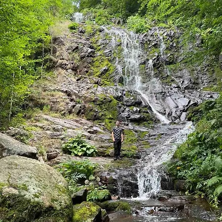 Apartamento Dencic Zavojsko Jezero *