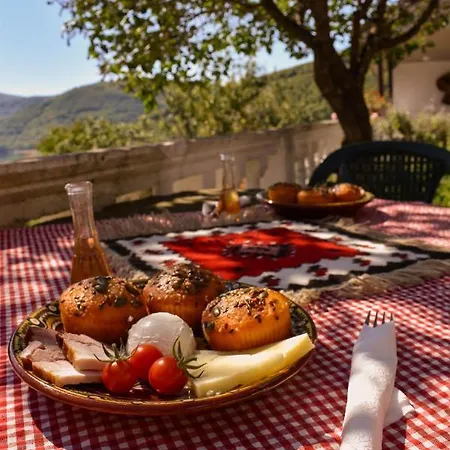 Dencic Zavojsko Jezero Pirot