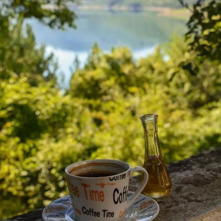 Dencic Zavojsko Jezero * Pirot