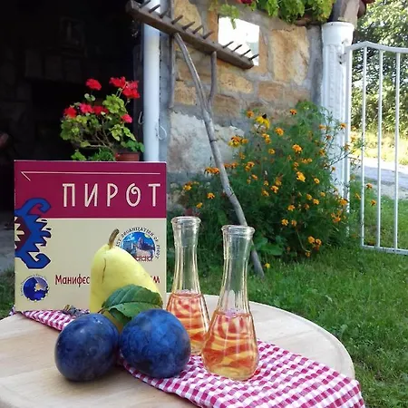 Dencic Zavojsko Jezero Pirot