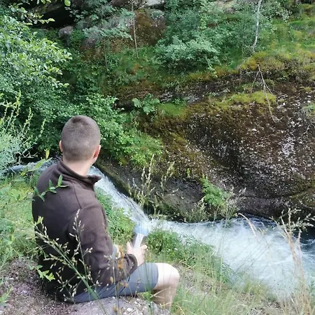 Dencic Zavojsko Jezero * Pirot