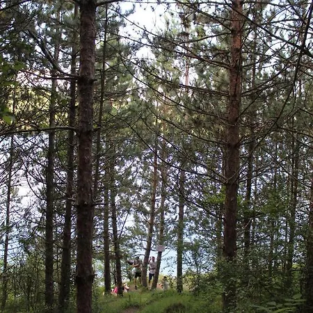 Dencic Zavojsko Jezero Pirot