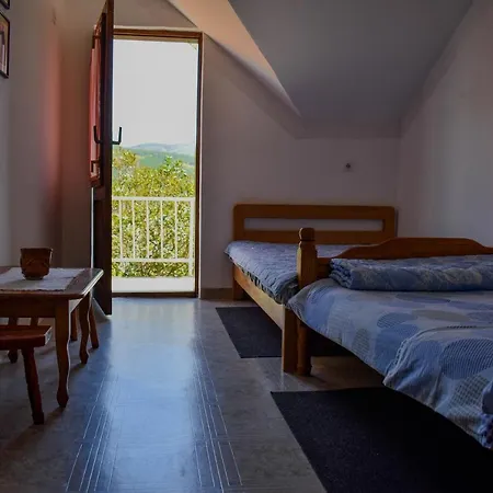 Dencic Zavojsko Jezero Apartment *