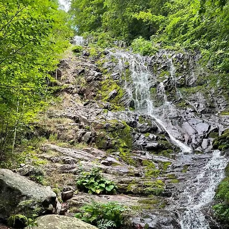 Dencic Zavojsko Jezero Apartamento *