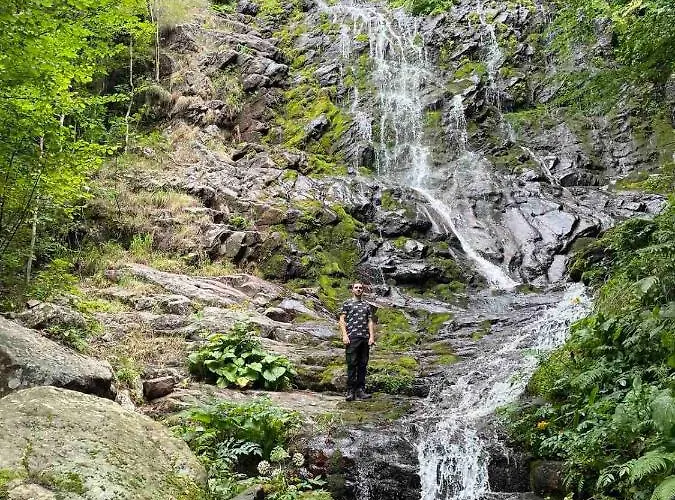 Apartman Dencic Zavojsko Jezero *