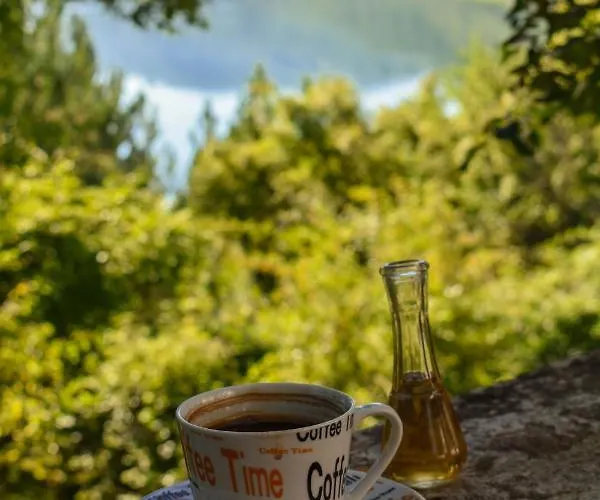 Dencic Zavojsko Jezero * Pirot