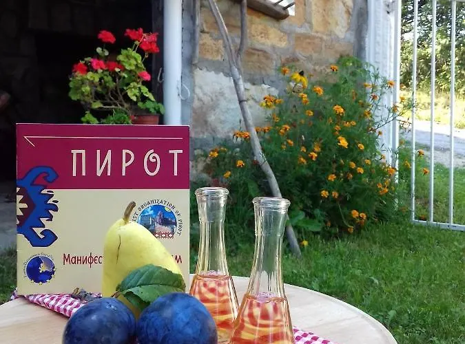 Dencic Zavojsko Jezero Pirot