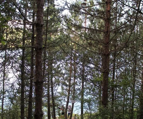 Dencic Zavojsko Jezero Pirot