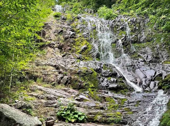 Dencic Zavojsko Jezero Apartman *